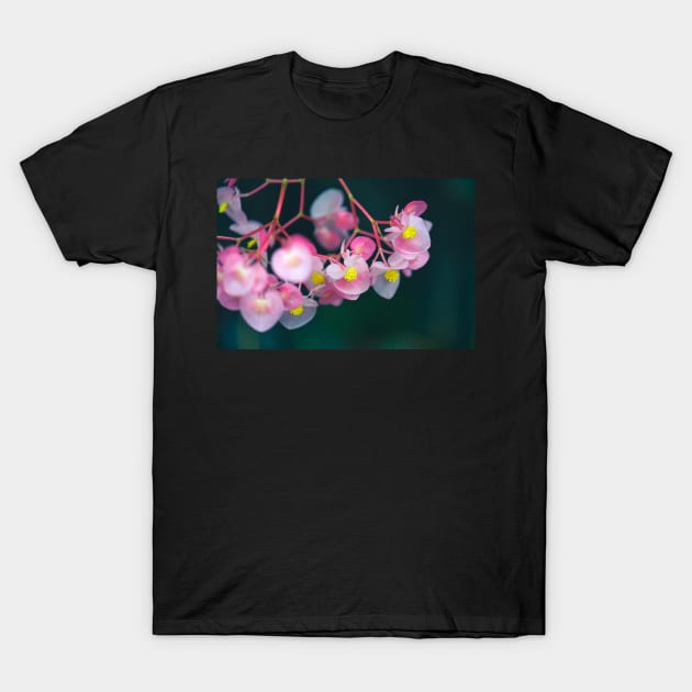 Pink Petals T-Shirt by LaurenGalanty